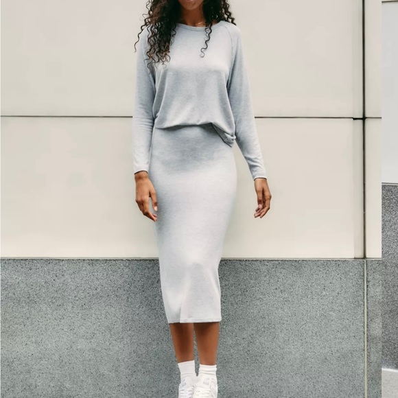 BNWT Wilfred Free Skirt - Picture 4 of 4